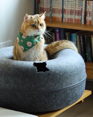 Peekaboo Cat Cave Dark Gray