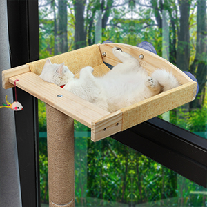 cat window hammock