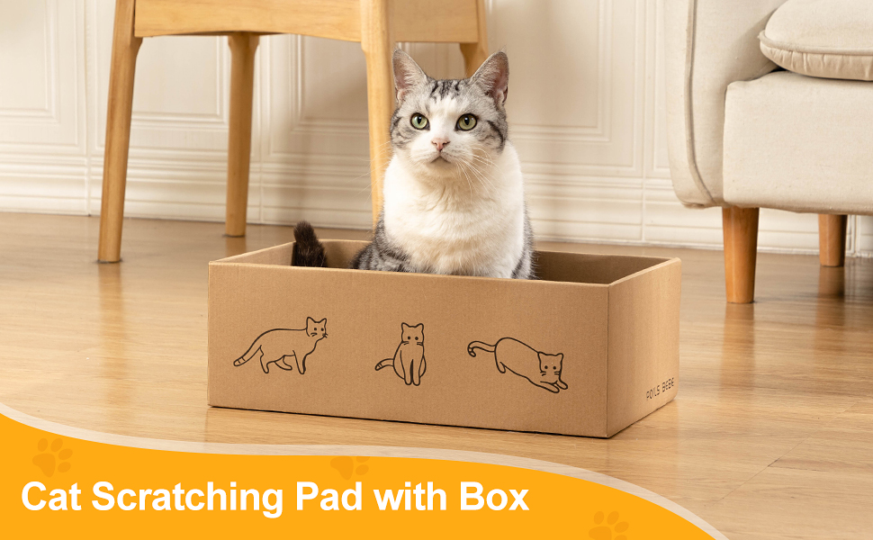 Cat Scratcher with Box