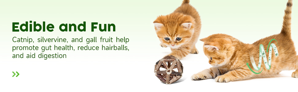 catnip cat toys