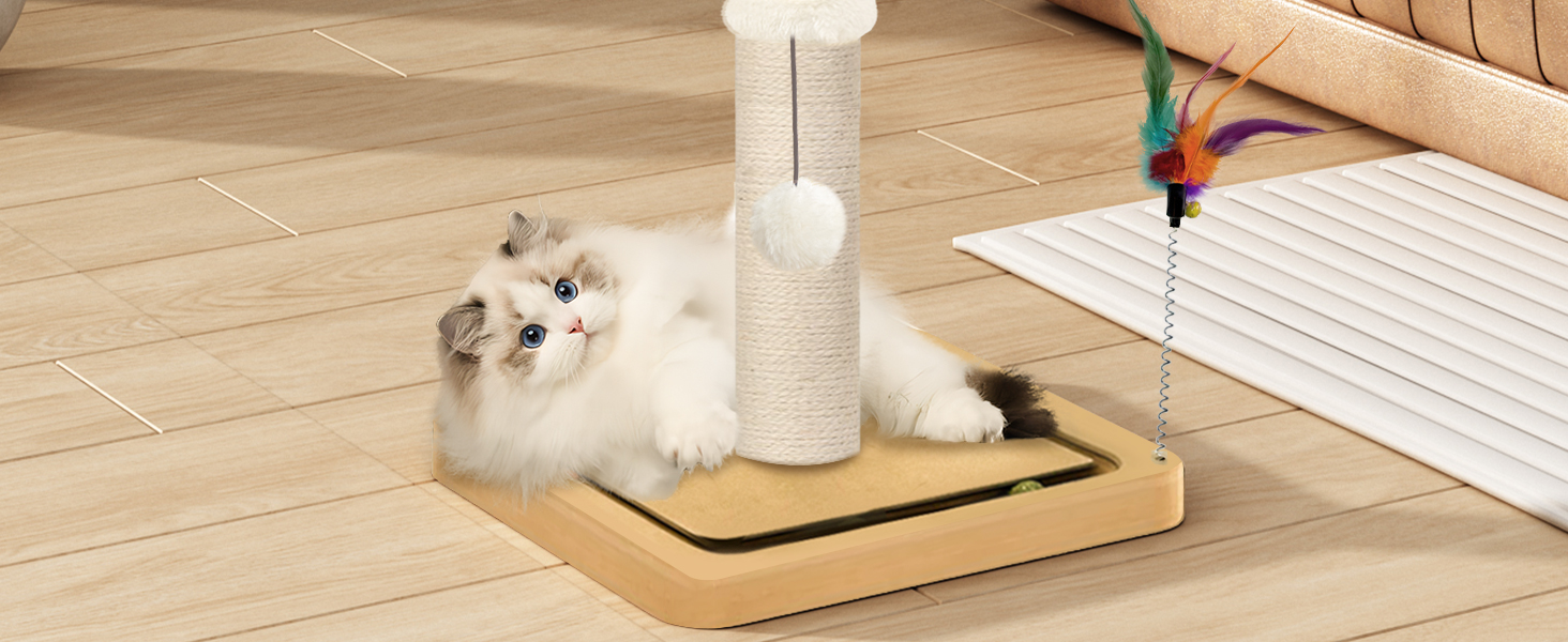 cat scratching post