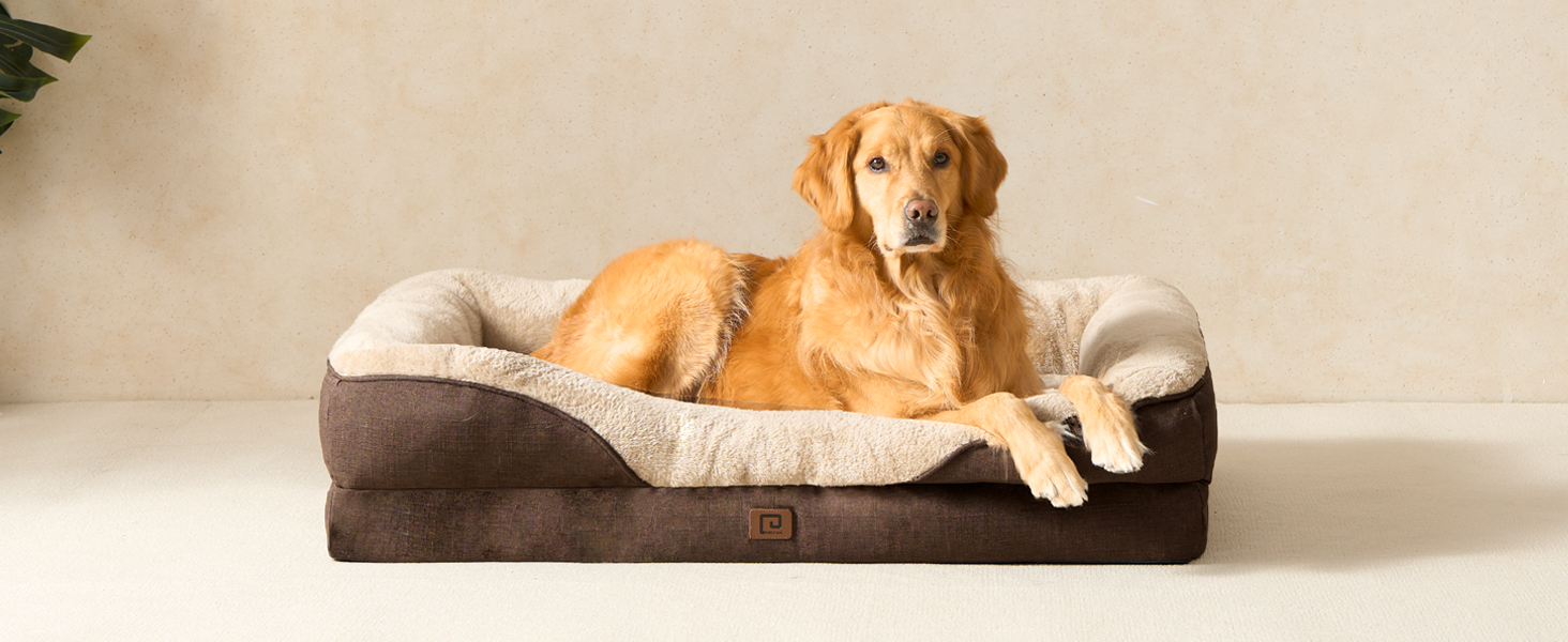 dog sofa