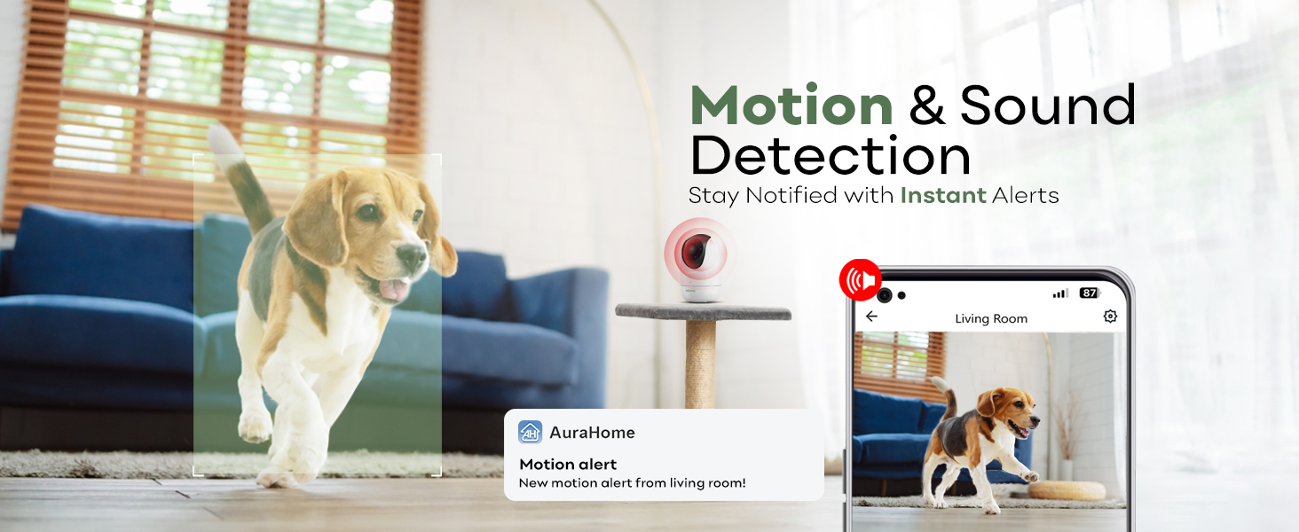 Motion & Sound Detection