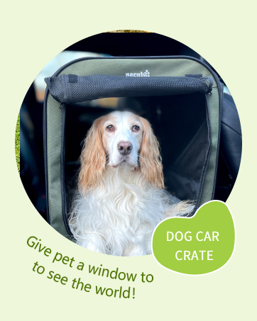 dog car carrier