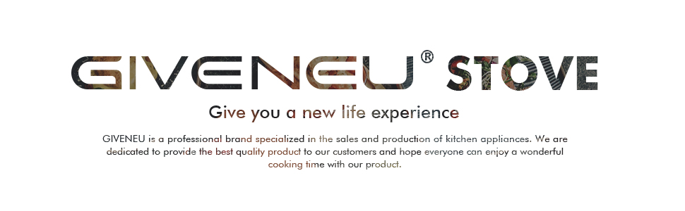 giveneu electric stove