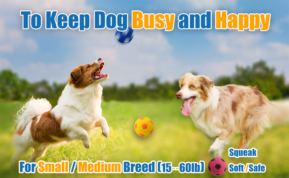 squeaky dog toy for small dogs and mdium dogs