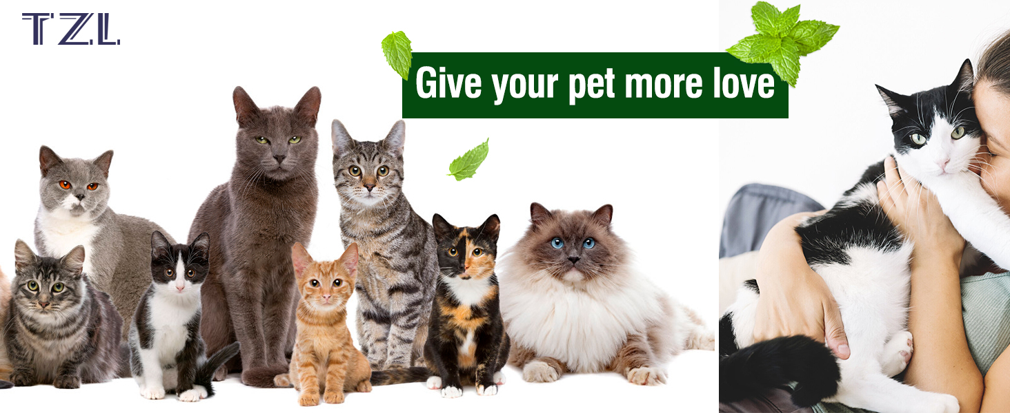 organic catnip for cats