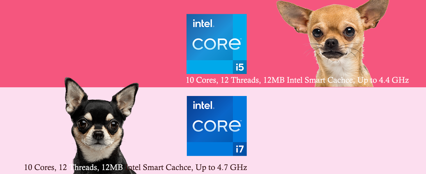 CPU