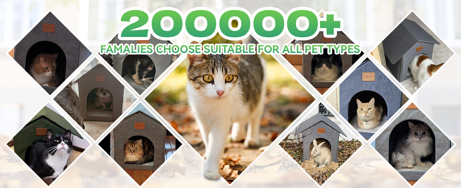 Outdoor Cat House