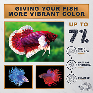 Ultra Fresh betta fish food organic shrimp pellets flakes granules beta