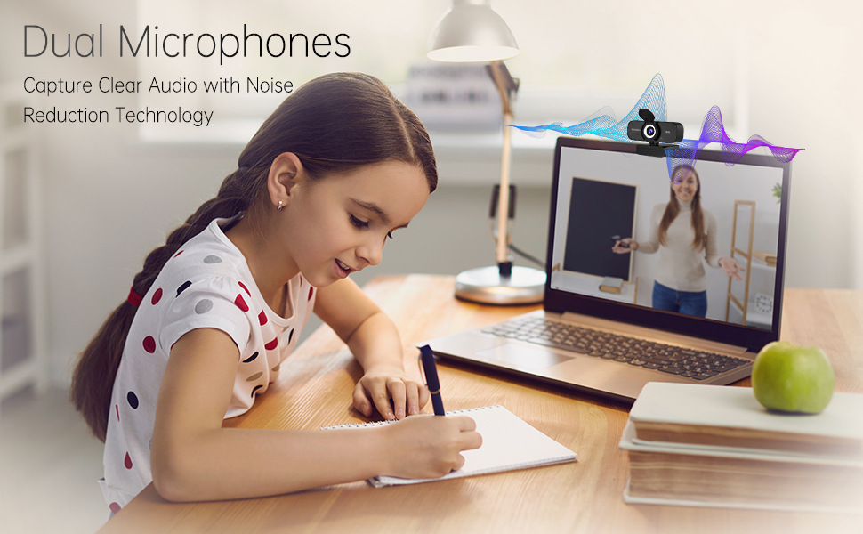 Dual Microphones