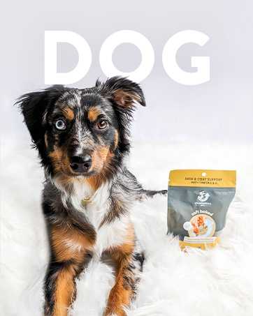 Cleaning Medium Puppy Mint Fresh Wag Breed Green Free Pet Bulk Snacks Food Puppies Best