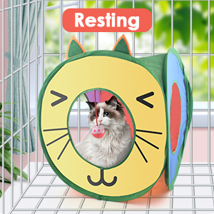 cat hideout house