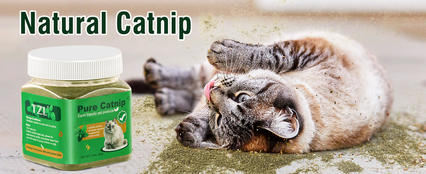 catnip
