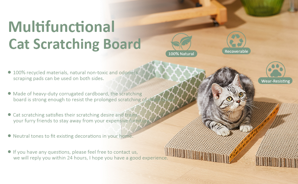 cat scratch box