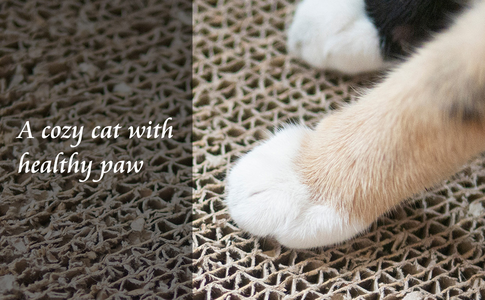 Cat Scratch Pad