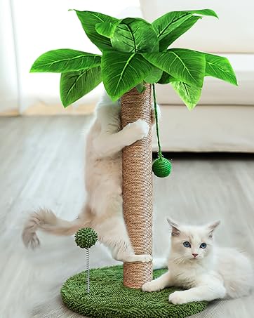 cat scratching post