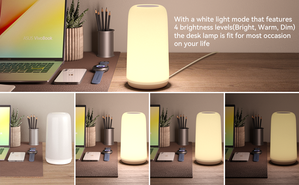 3 BRIGHTNESS LEVELS