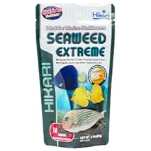 Hikari Seaweed Extreme