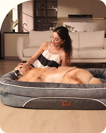 xxl dog beds
