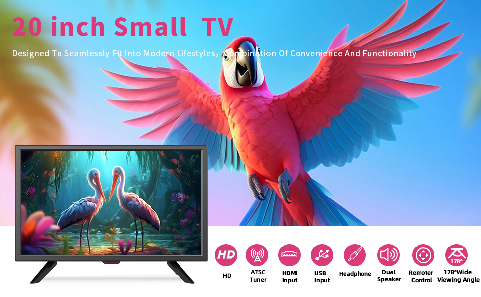 SMALL TV