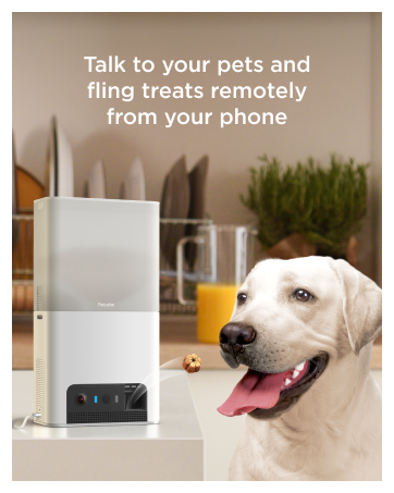 Petcube Bites 2 Lite from the brand