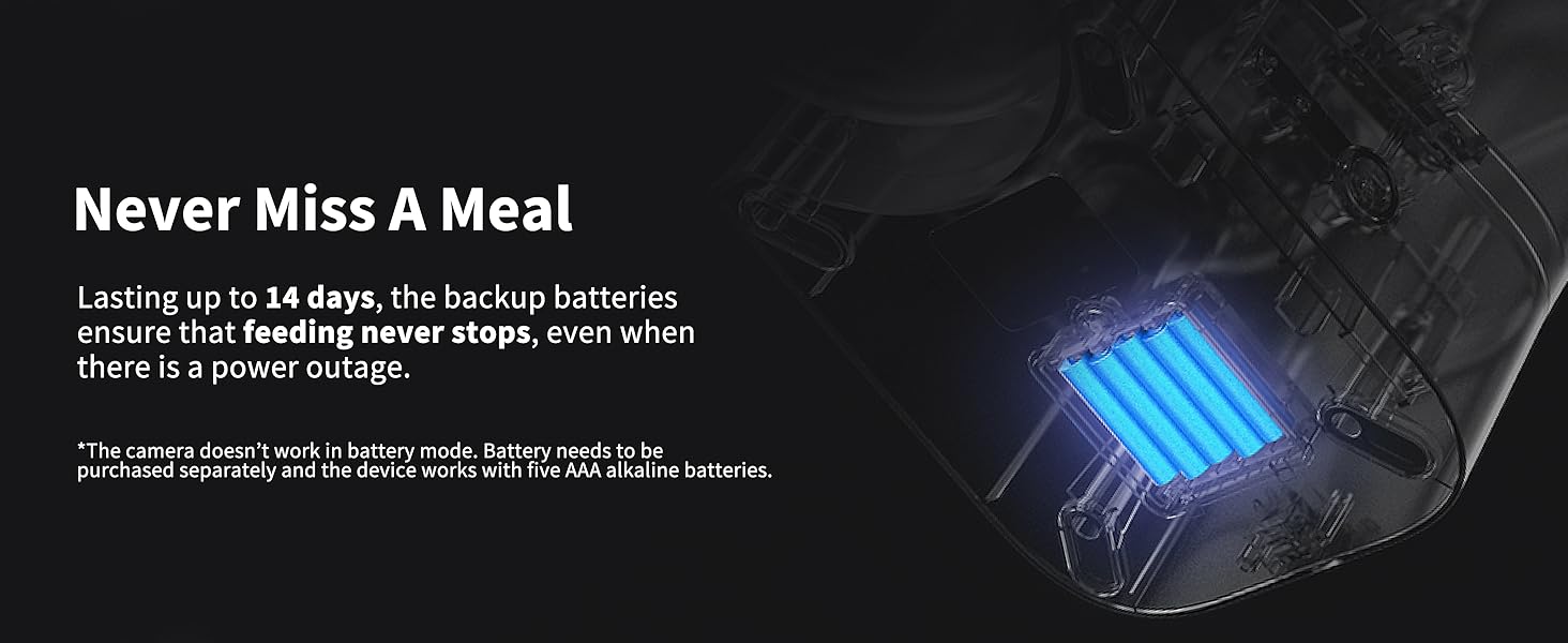 backup battery mode