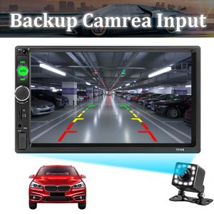 backup camera input