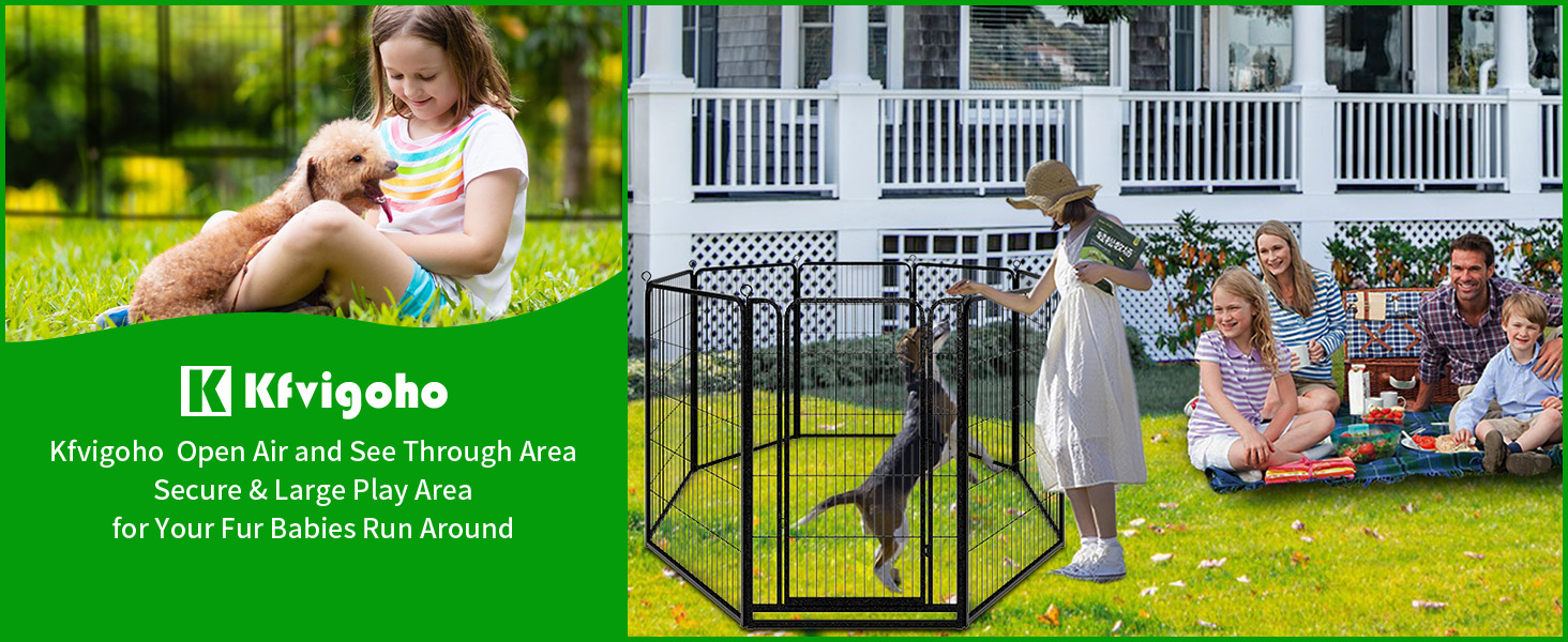 dog fence