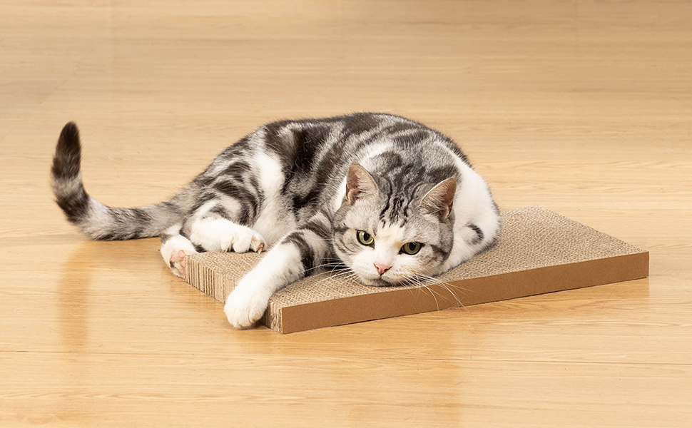 cat scratcher pad