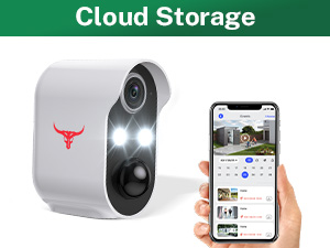 Secure Video Cloud Storage