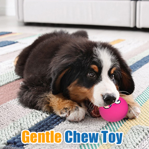 puppy chew toy