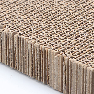 Cat Scratch Pad