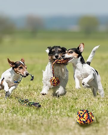 5Pack Dog Chew Toys