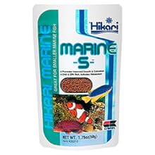 Hikari Marine S