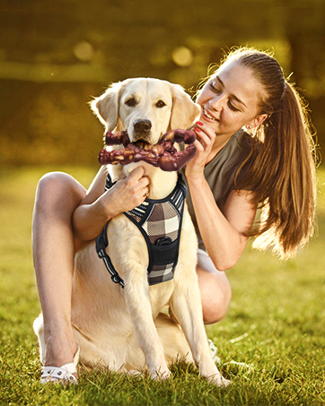 dog chew toys