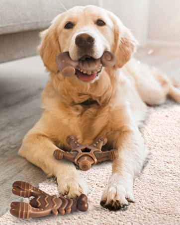 dog chew toys