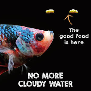 Ultra Fresh betta fish food organic shrimp pellets flakes granules beta