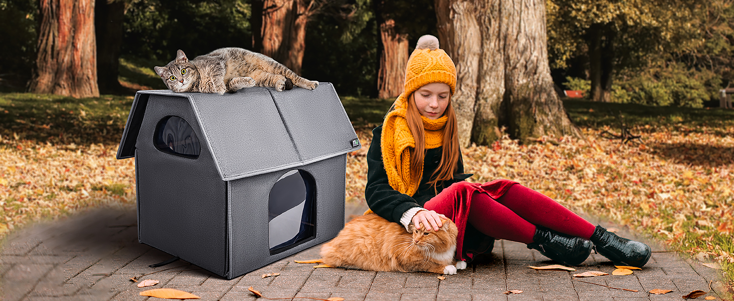 cat house winter 1