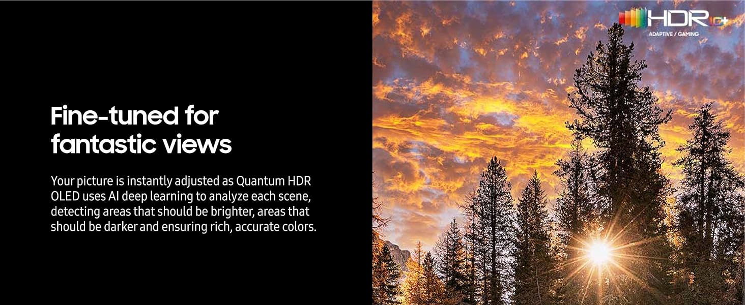 SAMSUNG QN65S90CAFXZA 65 Inch OLED 4K Smart TV