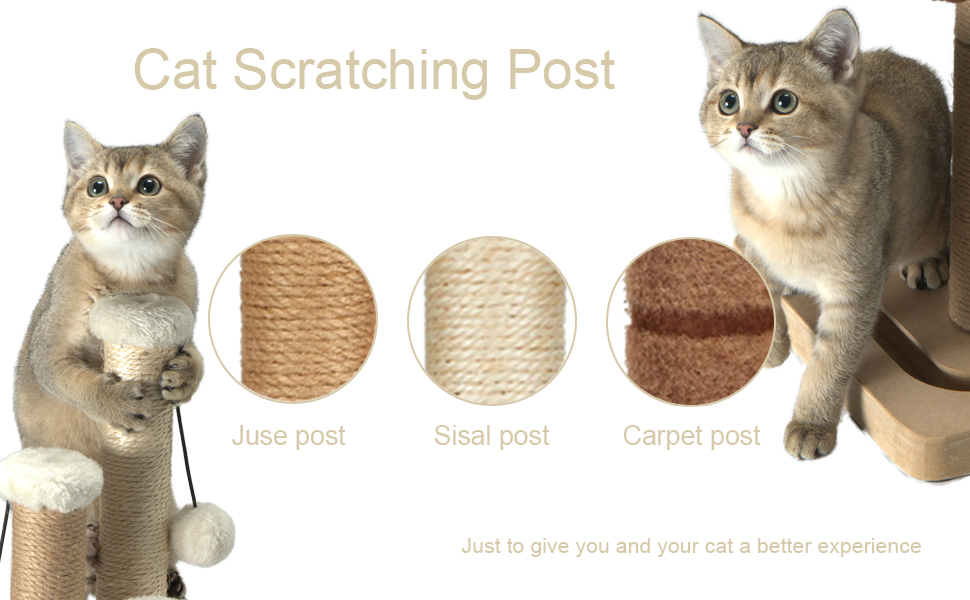 cat scratcher