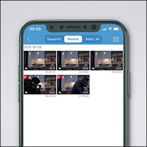 VIDEO GALLERY