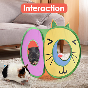 guinea pig toy