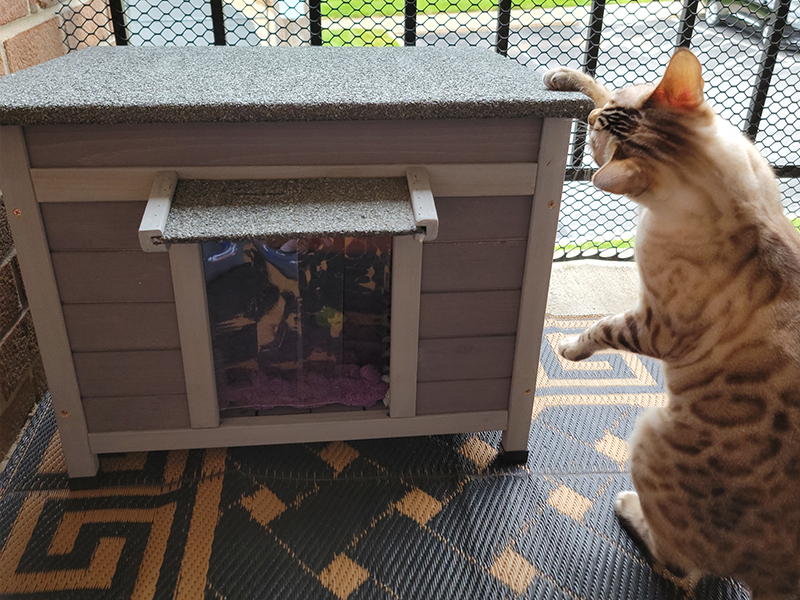 cat house