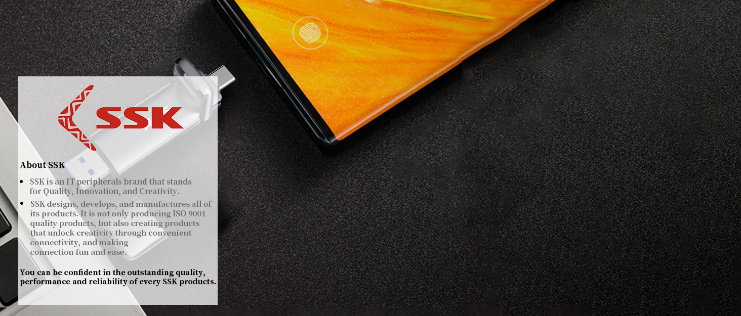 SSK USB Stick super fast up to 1000MB/s 