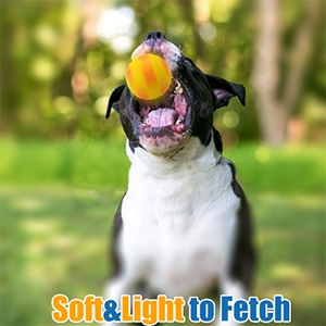 fetch dog toy