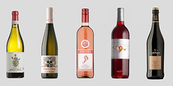 Wine Cooler