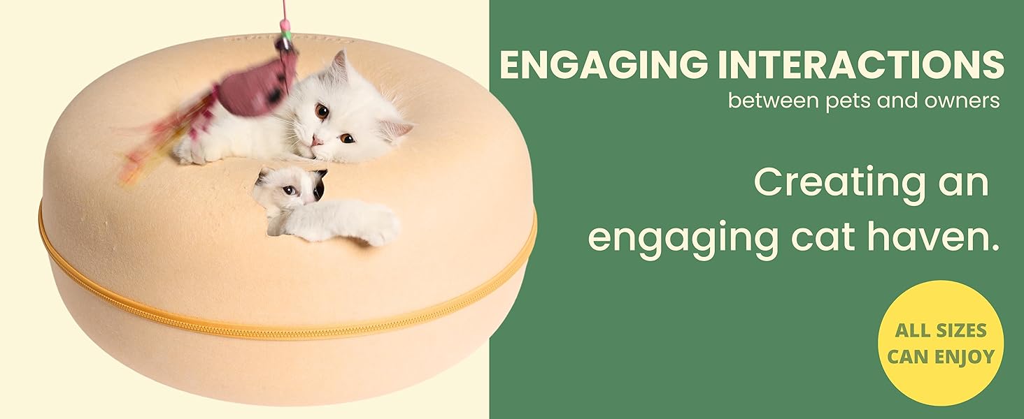 Engaging Interactions between pets and woners