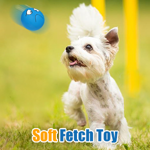 dog fetch toy