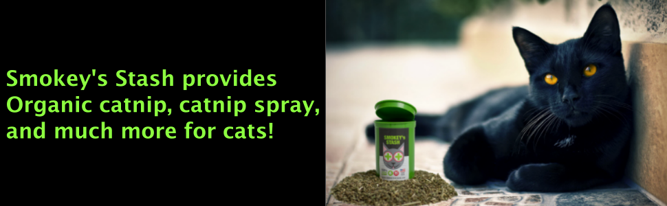 cat toy potent organic catnip
